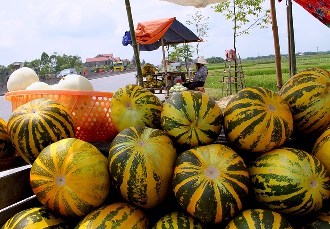 Bất chấp nguy hiểm bán dưa bên quốc lộ3
