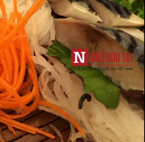 Hoảng hồn vì 'sinh vật lạ' bò lổm ngổm trong đồ ăn ở nhà hàng Nhật - Ảnh 3