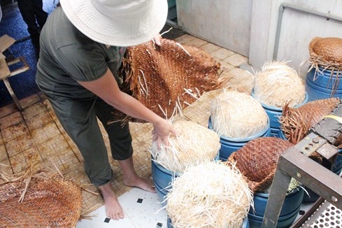 Ớn lạnh làm giá đỗ 'siêu tốc' bằng hóa chất Trung Quốc - ảnh 3