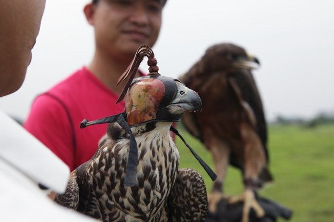 la lam thu choi “chua te bau troi” o ha noi (ky 1) hinh anh 3