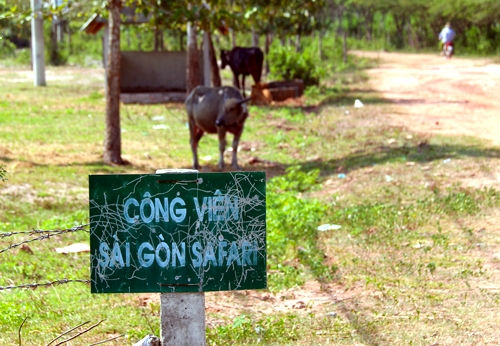 tp-hcm-thanh-tra-toan-dien-du-an-sai-gon-safari