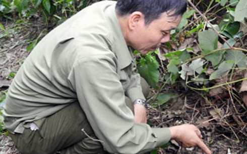 an mang dau long, con trai dung dao dam chet bo de hinh 0