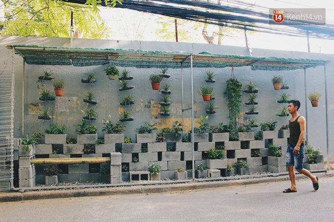 Nhóm sinh viên Hà Nội biến bãi rác dọn 10 năm không sạch thành một vườn hoa - Ảnh 2. Nhóm sinh viên Hà Nội biến bãi rác dọn 10 năm không sạch thành một vườn hoa - Ảnh 2.