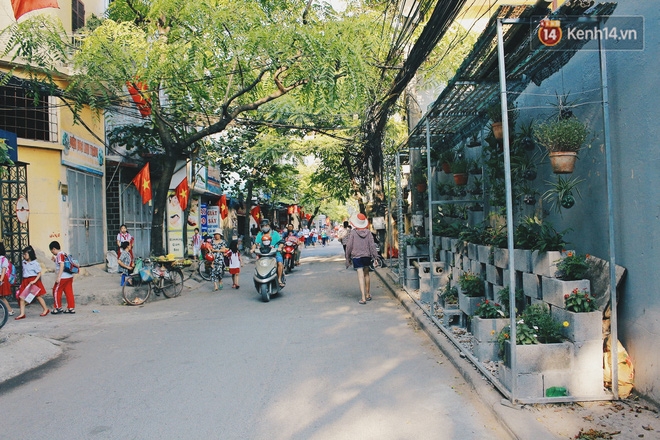 Nhóm sinh viên Hà Nội biến bãi rác dọn 10 năm không sạch thành một vườn hoa - Ảnh 3. Nhóm sinh viên Hà Nội biến bãi rác dọn 10 năm không sạch thành một vườn hoa - Ảnh 3.