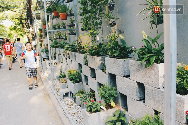 Nhóm sinh viên Hà Nội biến bãi rác dọn 10 năm không sạch thành một vườn hoa - Ảnh 14. Nhóm sinh viên Hà Nội biến bãi rác dọn 10 năm không sạch thành một vườn hoa - Ảnh 14.