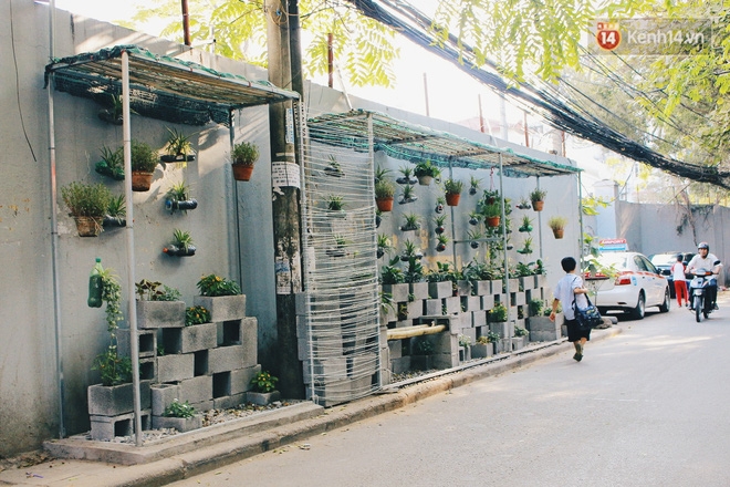 Nhóm sinh viên Hà Nội biến bãi rác dọn 10 năm không sạch thành một vườn hoa - Ảnh 18. Nhóm sinh viên Hà Nội biến bãi rác dọn 10 năm không sạch thành một vườn hoa - Ảnh 18.