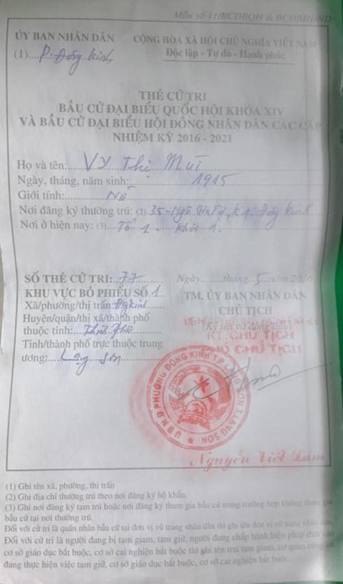 Lạng Sơn: Xúc động hình ảnh cụ bà 101 tuổi minh mẫn đi bầu cử - ảnh 2