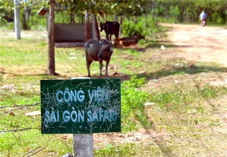 Giao Vinpearl dau tu du an Sai Gon Safari hinh anh 1