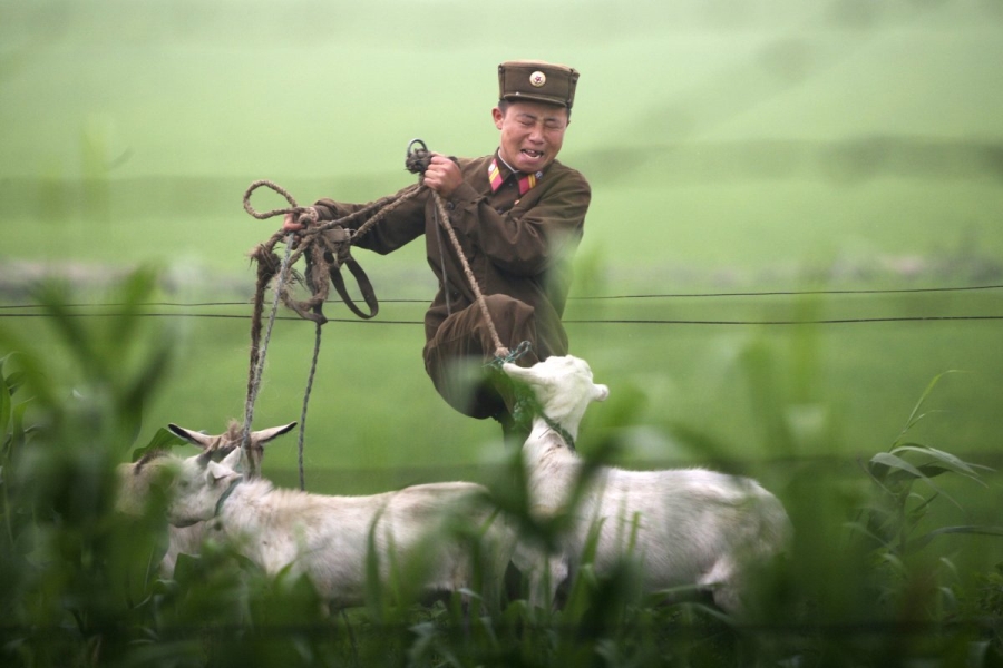 Bên cạnh nhiệm vụ chiến đấu, binh sỹ quân đội Triều Tiên cũng phải tham gia các hoạt động sản xuất kinh tế. (Ảnh: Reuters)