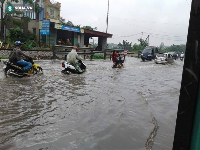 Hà Nội: Sau trận mưa lớn, người dân ra đường bắt cá - Ảnh 2.