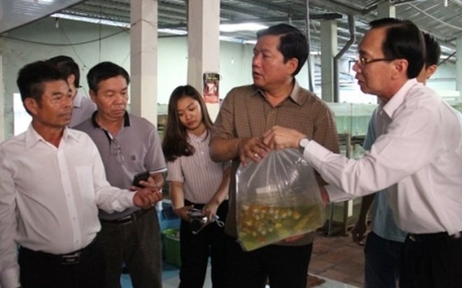 Bộ trưởng Phát, CÁ CHÉP, GIẤY KIỂM ĐỊNH, HUYỆN CỦ CHI, BÍ THƯ THÀNH ỦY ĐINH LA THĂNG, Bí thư thăng
