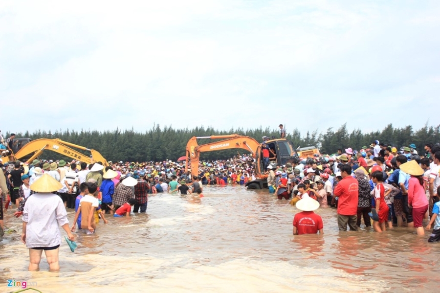 Dan ho reo khi giai cuu thanh cong ca voi khong lo hinh anh 3