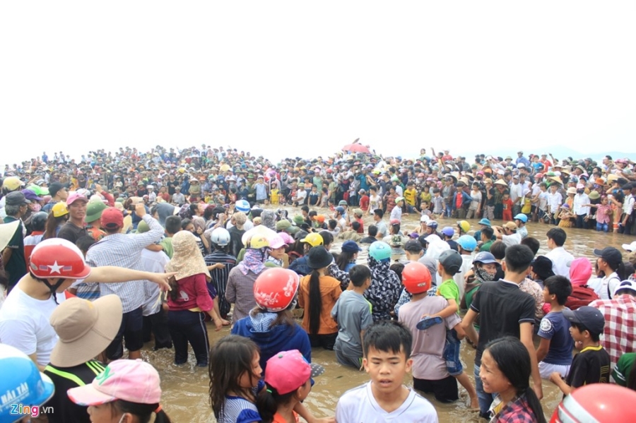 Dan ho reo khi giai cuu thanh cong ca voi khong lo hinh anh 6