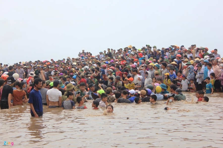 Dan ho reo khi giai cuu thanh cong ca voi khong lo hinh anh 8