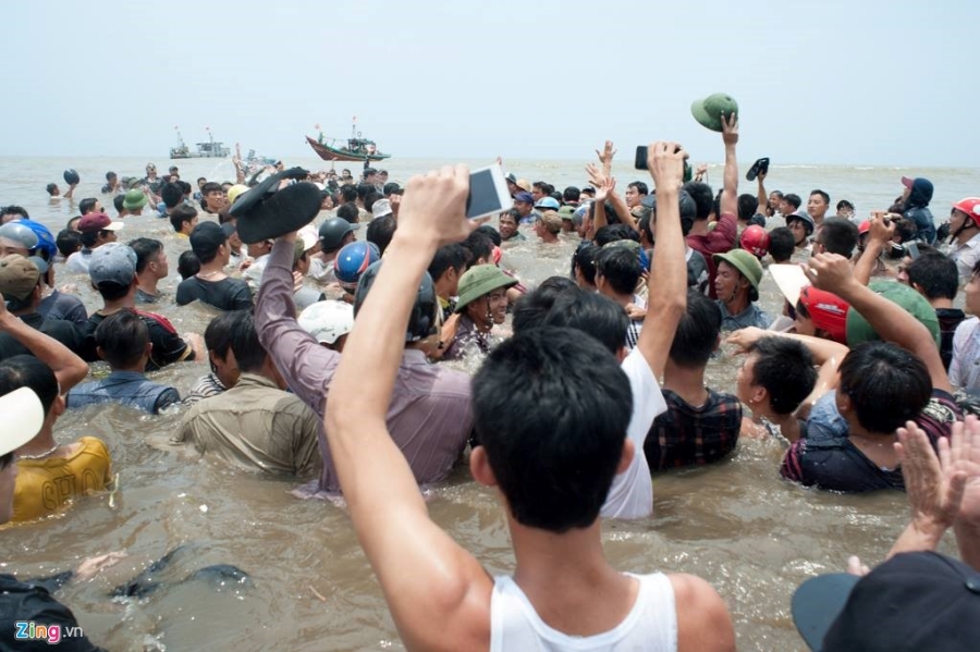 Dan ho reo khi giai cuu thanh cong ca voi khong lo hinh anh 14