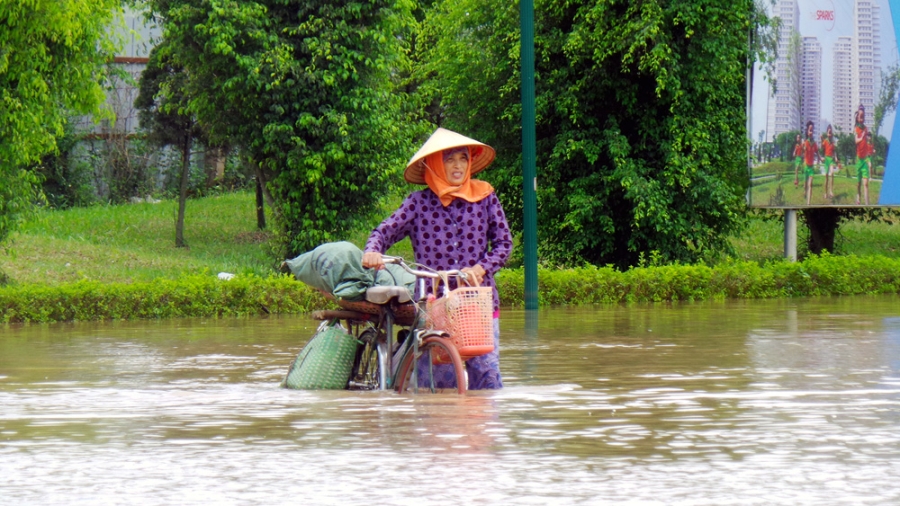 Loay hoay giữa dòng nước.