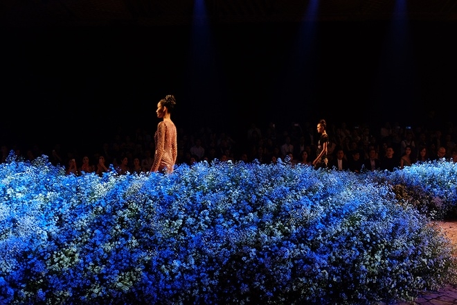 Hoàng Hải dựng đồi hoa tươi 500 triệu đồng làm sàn catwalk