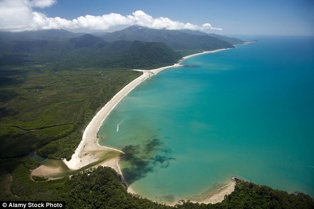 tam bien o australia, nu du khach bi ca sau an thit hinh anh 2