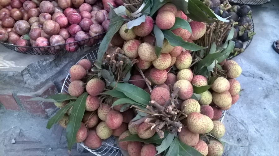 Ra thị trường sớm hơn vải thiều 1 tháng, vải u trứng (tu hú) có giá gấp 2 đến 3 lần giá vải thiều chính vụ