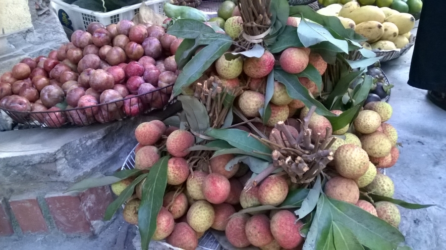 Vải này được bó rất nhiều lá, tay quả, khiến trọng lượng 1 chùm cũng phải từ 2,5 đến 3kg