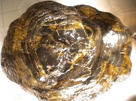 Bi hài, đại gia, gỗ hóa thạch, giải độc, trường thọ, đồ gỗ, qỗ quý, thú chơi, tiền tỷ