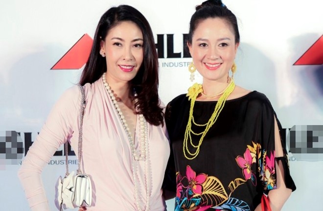 'Ha Kieu Anh rat nghi luc trong vu an Nguyen Gia Thieu' hinh anh 1