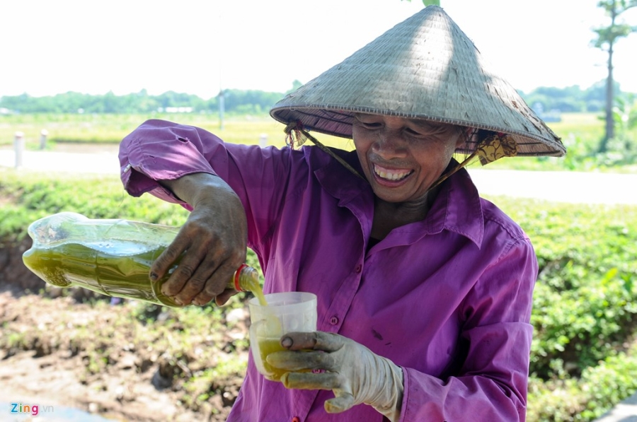 Nguoi dan danh vat voi nang nong 39 do C hinh anh 12