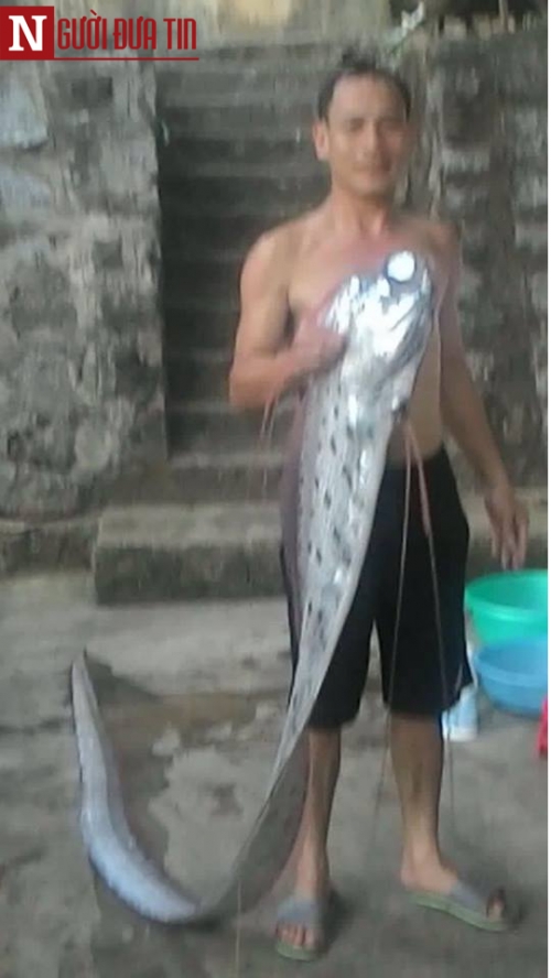 Bất ngờ bắt được ‘thủy quái’ lạ, màu óng ánh, có râu dài hơn 3m - Ảnh 2 Bất ngờ bắt được ‘thủy quái’ lạ, màu óng ánh, có râu dài hơn 3m - Ảnh 2