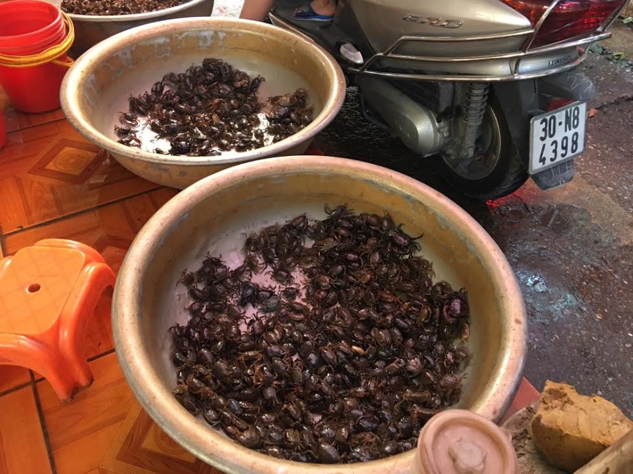 cua đồng, cua đồng ế ẩm, nắng nóng, cua đồng ế ẩm tại chợ, xếp hàng mua cua đồng