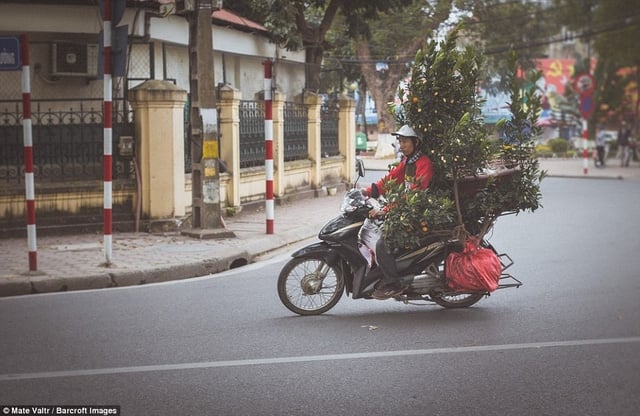 Những chuyến xe chở hàng cồng kềnh trên mọi góc phố Hà Nội đã trở nên quen thuộc