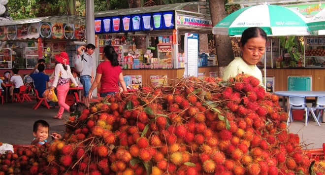 Sau rieng gia 24.000 dong 1 kg o cho noi trai cay Sai Gon hinh anh 7
