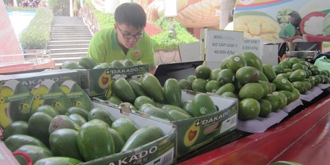 Sau rieng gia 24.000 dong 1 kg o cho noi trai cay Sai Gon hinh anh 11