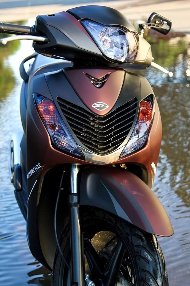 Honda SH 2010 son phoi mau ca tinh o Sai Gon hinh anh 2