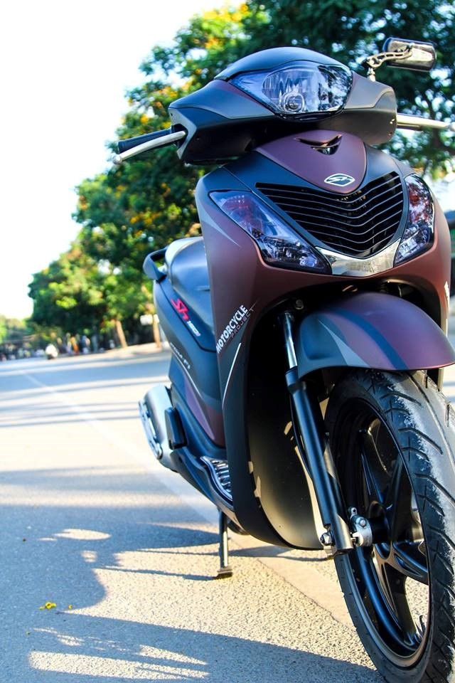 Honda SH 2010 son phoi mau ca tinh o Sai Gon hinh anh 5