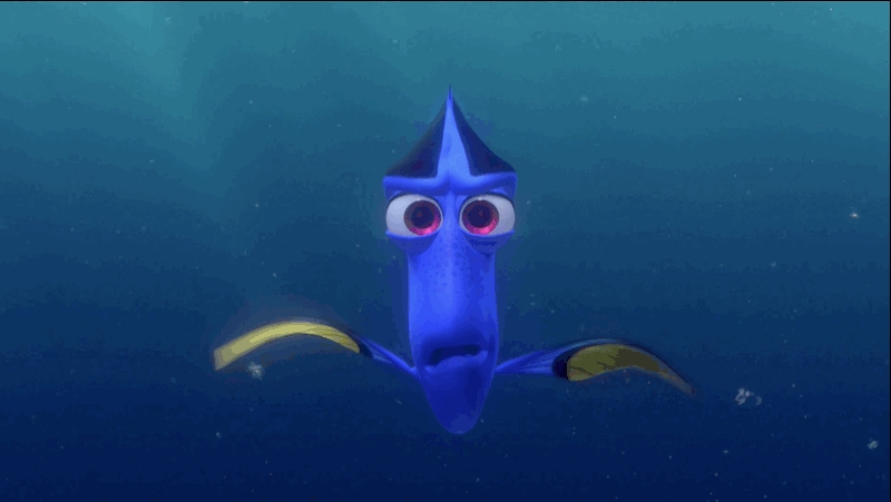 10 khám phá hay ho cần biết trước khi xem siêu phẩm Finding Dory - Ảnh 3.