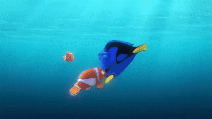 10 khám phá hay ho cần biết trước khi xem siêu phẩm Finding Dory - Ảnh 5.