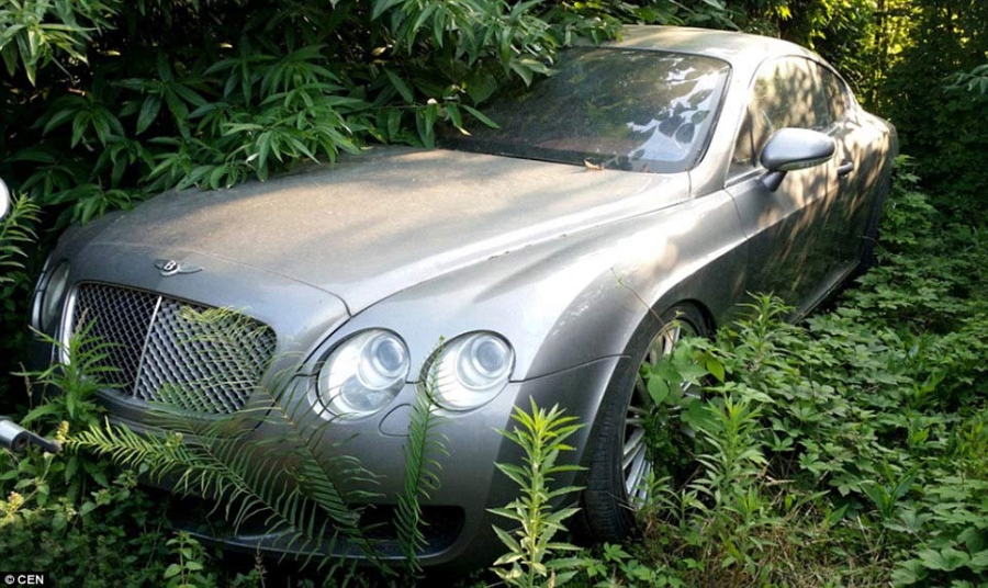 nghĩa địa, siêu xe, Trung Quốc, Bentley, Audi