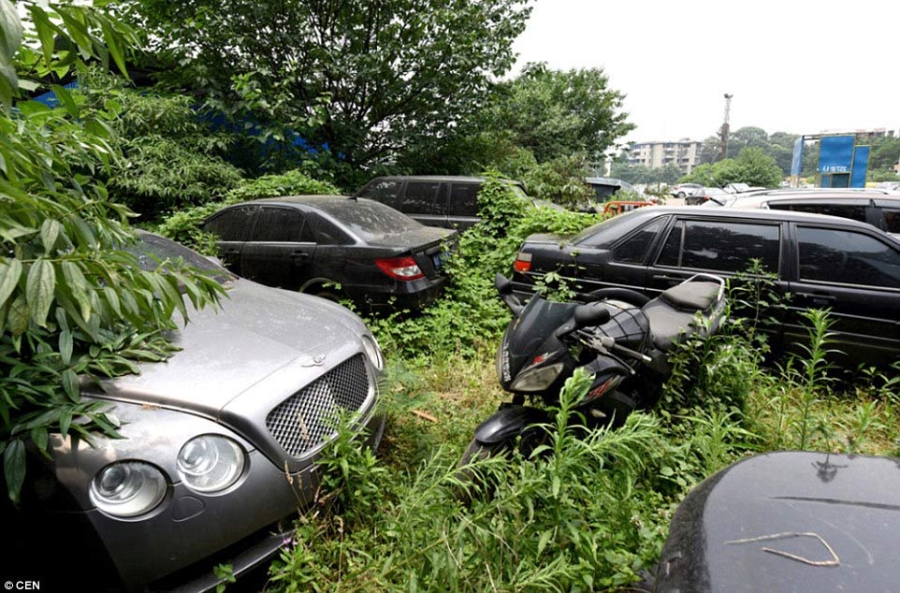 nghĩa địa, siêu xe, Trung Quốc, Bentley, Audi