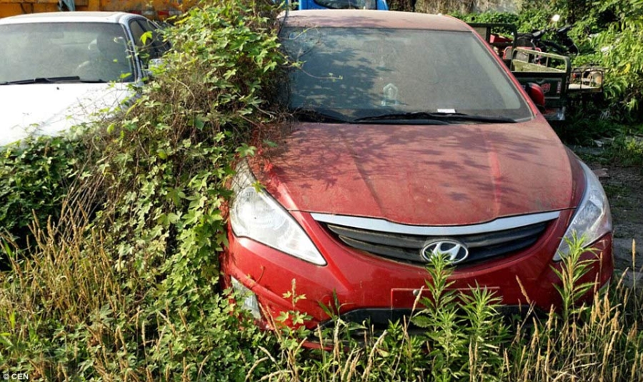 nghĩa địa, siêu xe, Trung Quốc, Bentley, Audi