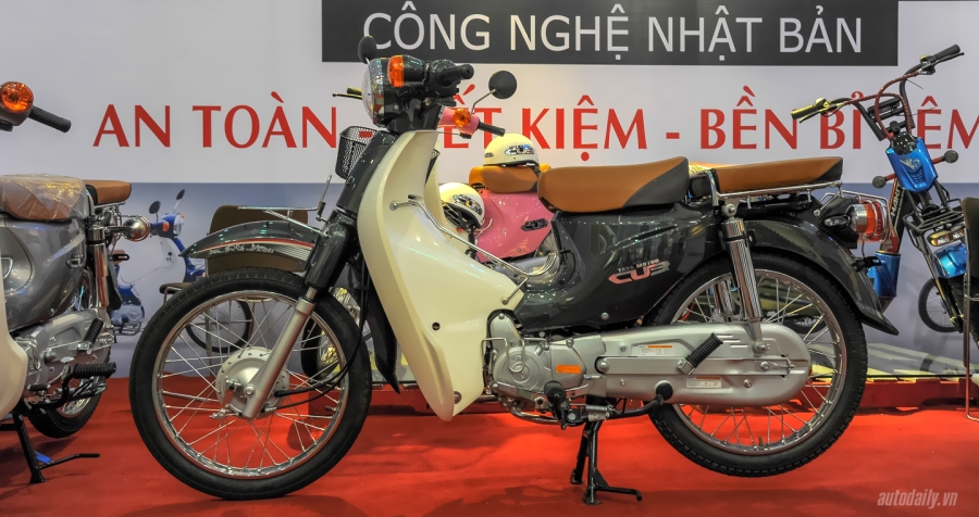 cub 81 taya (15).JPG