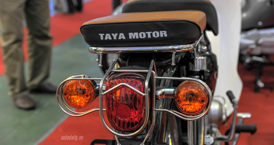 cub 81 taya (1).jpg