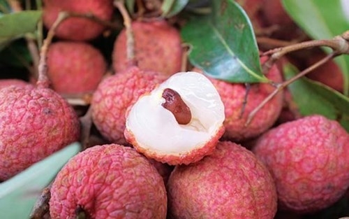 Những người ăn vải chẳng khác tự làm hại mình! - 2