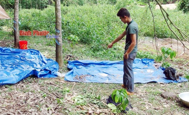 phat hien thi the bi troi tay, buoc khoi sat chim duoi ao hinh anh 2