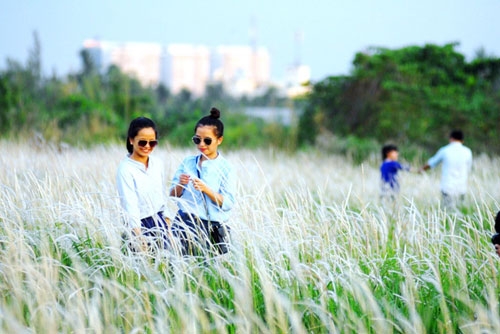 canh dong co lau dep nhu tranh giua sai gon hinh anh 7