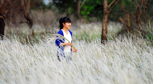 canh dong co lau dep nhu tranh giua sai gon hinh anh 13
