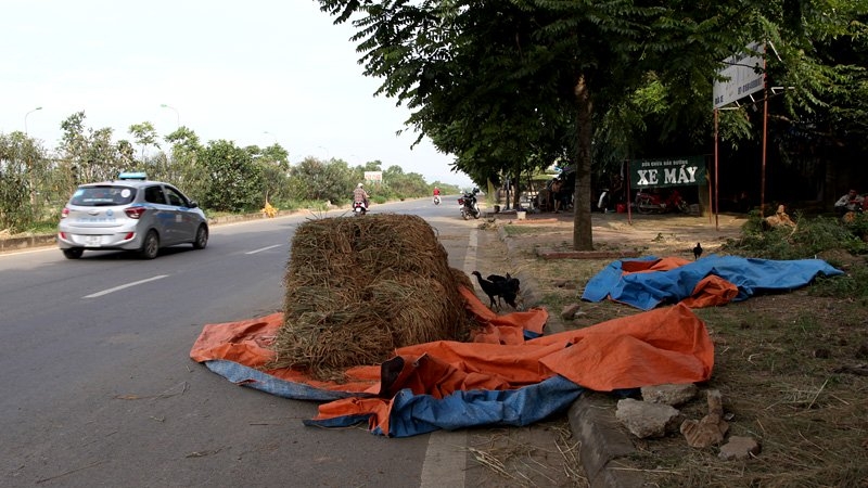 Đại lộ Thăng Long, hiện đại, Việt Nam, Hà Nội, sân phơi, đường làng