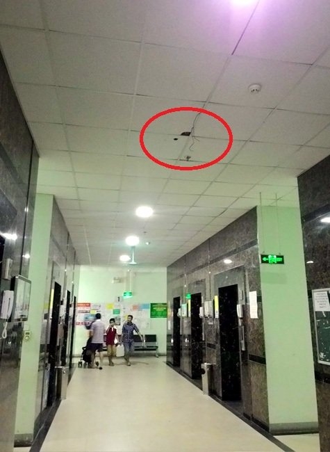 bi quat tran chung cu roi trung dau, 2 cu dan nhap vien hinh anh 2