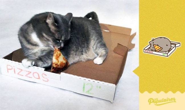 Đã tìm thấy chú mèo béo Pusheen phiên bản đời thực - Ảnh 5.