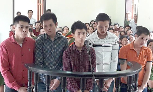 mau-thuan-voi-con-chem-bo-tra-thu