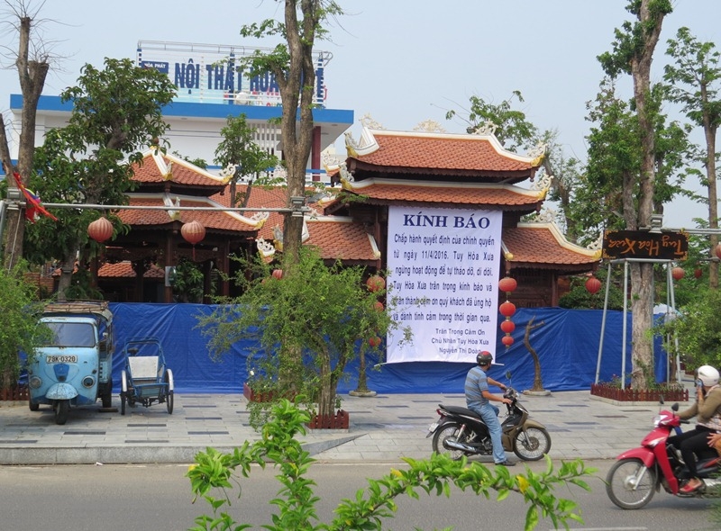 Số cây gỗ quý được đưa về trồng tại góc đại lộ Hùng Vương - Hoàng Văn Thụ của nhà hàng gỗ Tuy Hòa Xưa (ảnh Tư liệu)